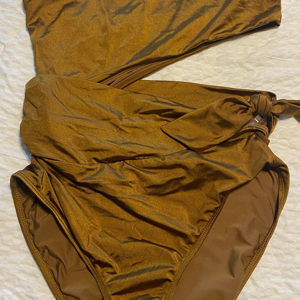 Good American one piece swimsuit.  Bronze and Beautiful!